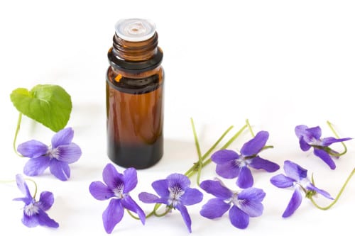 Violet Oil
