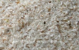 Psyllium for Weight Loss