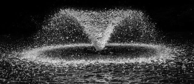 Fountain - Healthy Hildegard