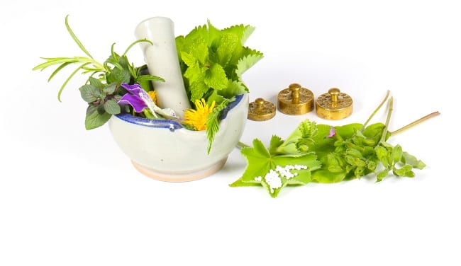 traditional german herbal medicine meds