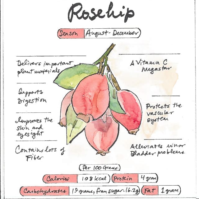 is rosehip powder good for dogs