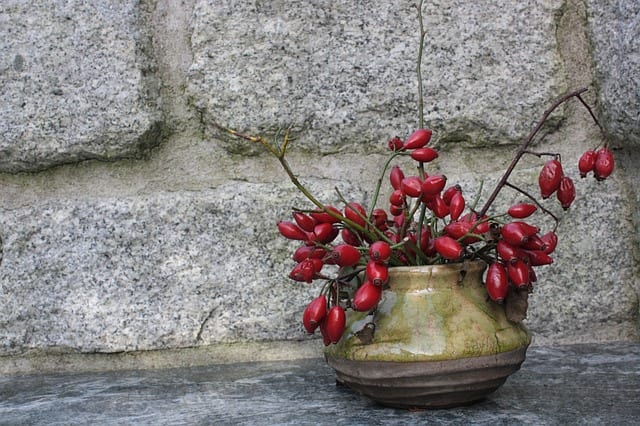 Vitamin C with Rosehips