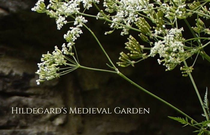 Hildegarden Medieval Garden