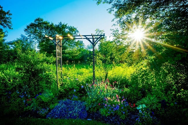 medieval garden