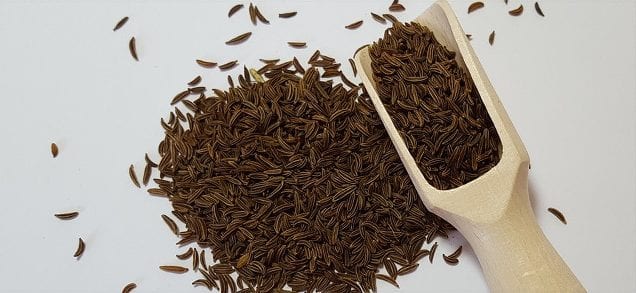 What is caraway