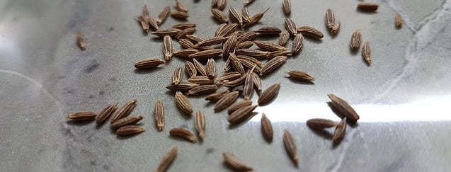 caraway health benefits