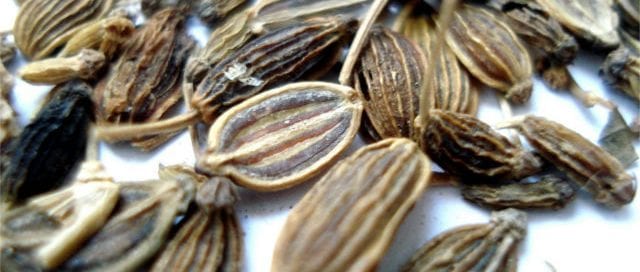 caraway seeds health benefits