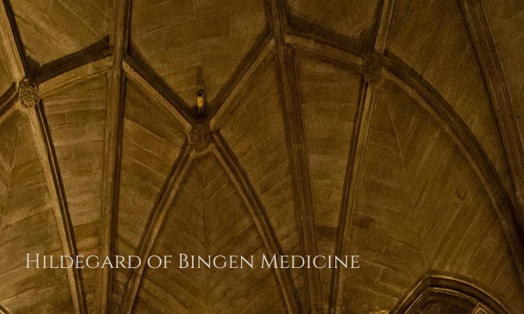 Hildegard of Bingen Medicine