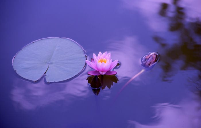 kundalini awakening process
