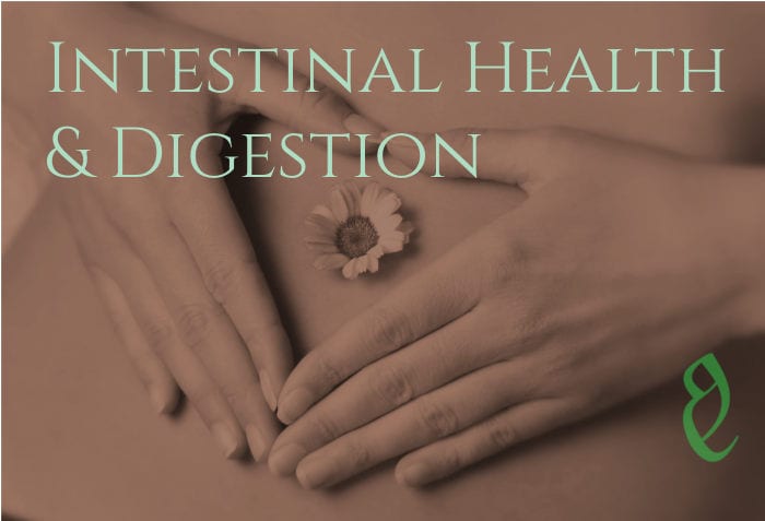 intestinal health