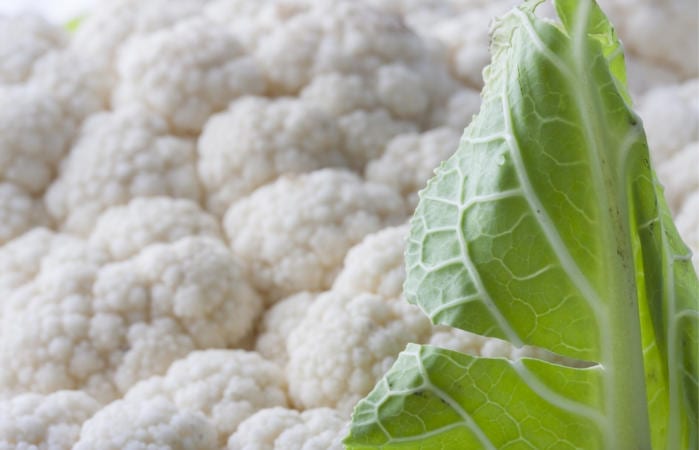 prebiotic diet