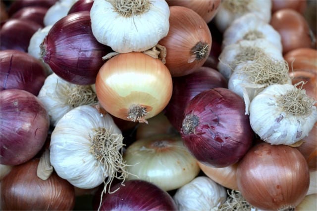 prebiotic food beans