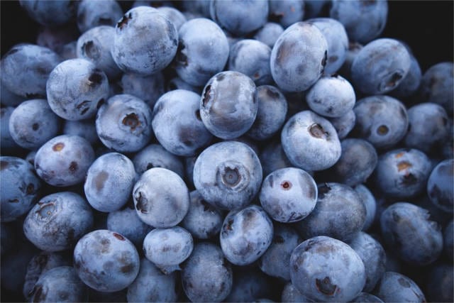 prebiotic foods blueberry