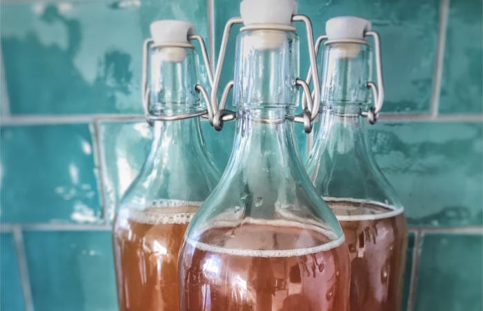 probiotics and digestion