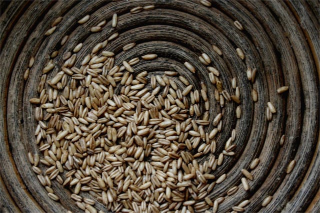 What is spelt