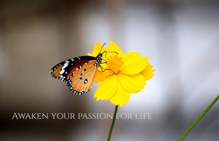 midlife awakening