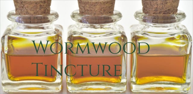 Wormwood Benefits 5