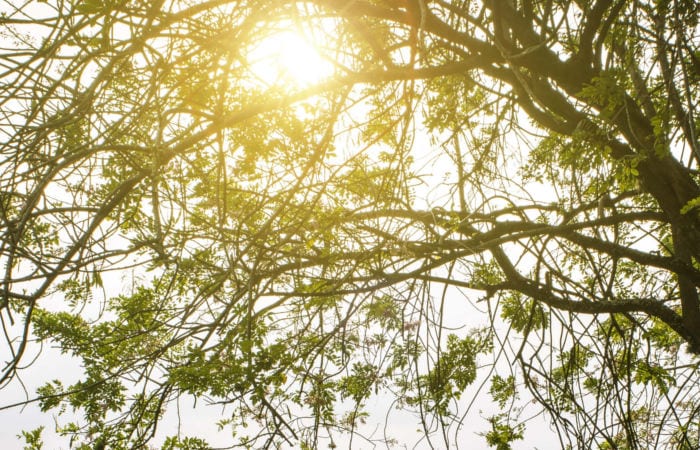 mindfulness exercises