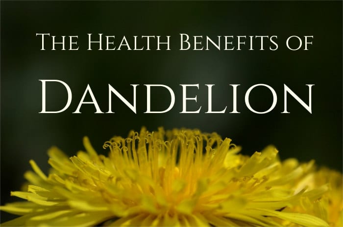 Health benefits of Dandelion 2