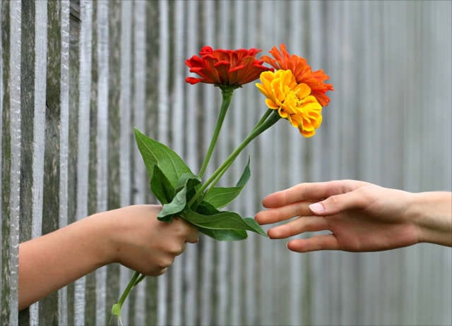 joy of giving
