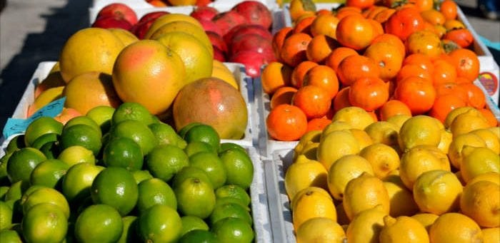 Citrus fruits are bitter foods - Healthy Hildegard