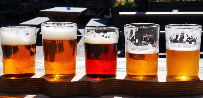 Beer is a source of natural bitters - Healthy Hildegard