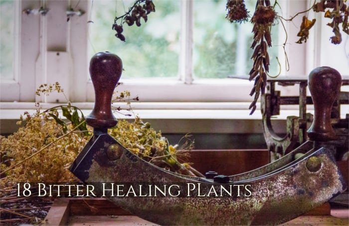 18 bitter herbs 18 bitter healing plants