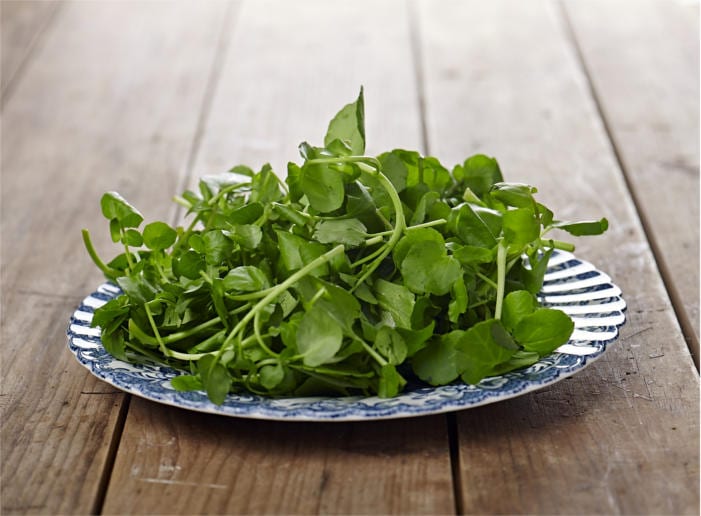 Bitter Spices Watercress