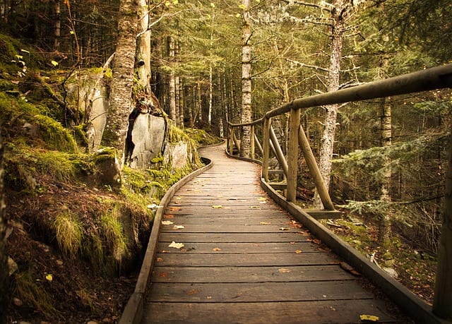 20 things about Hildegard von Bingen transformational
