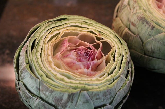 20 things about hildegard von bingen bitter foods artichoke