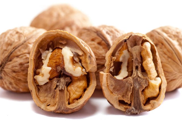 doctrine of signatures walnut