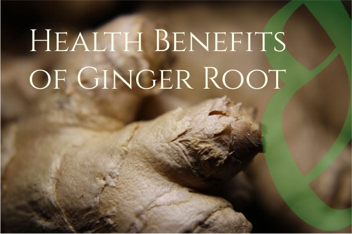 ginger medical plant of the year 2018