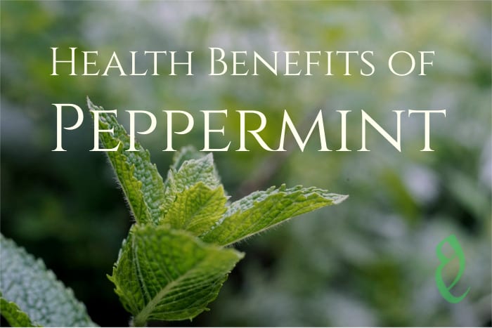 benefits peppermint