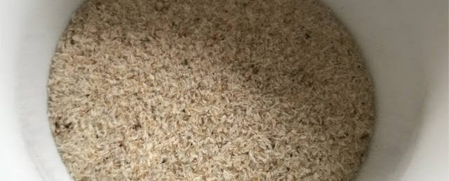 how to take psyllium husk for weight loss
