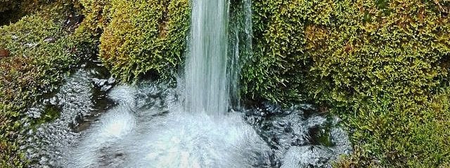 Waterfall - Healthy Hildegard