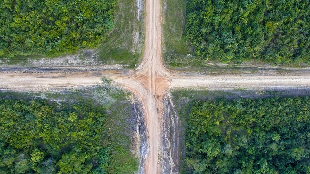 A crossroads from above - Healthy Hildegard