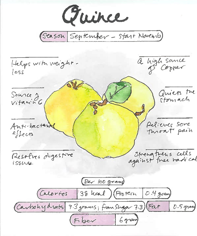 Infographic Quince