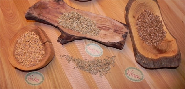 Spelt health benefits