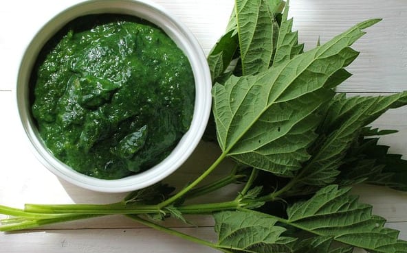 Herbs for Fasting