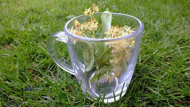 Linden Tea