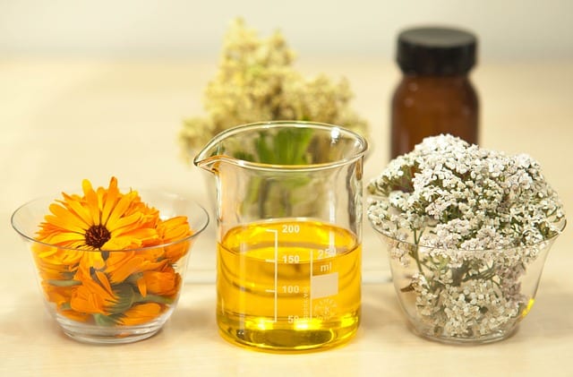 filipendula meadowsweet for skin