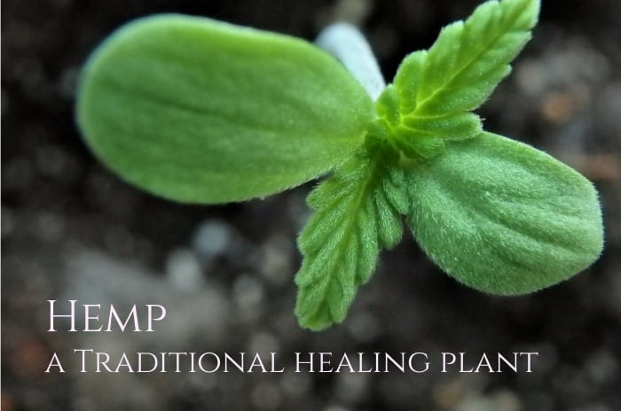 hemp seeds benefits 1